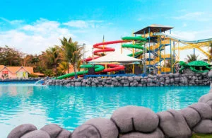 ODY Park