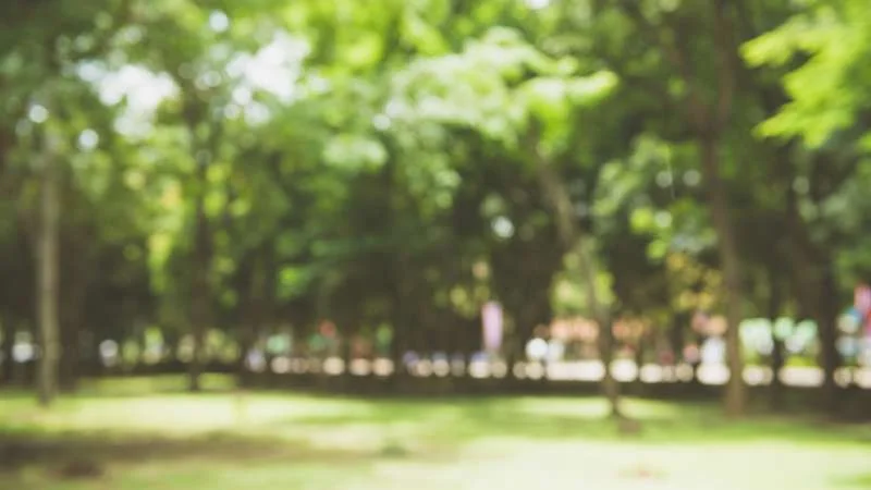 conheca os atrativos naturais de maringa